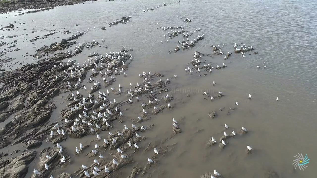 Preview video 144