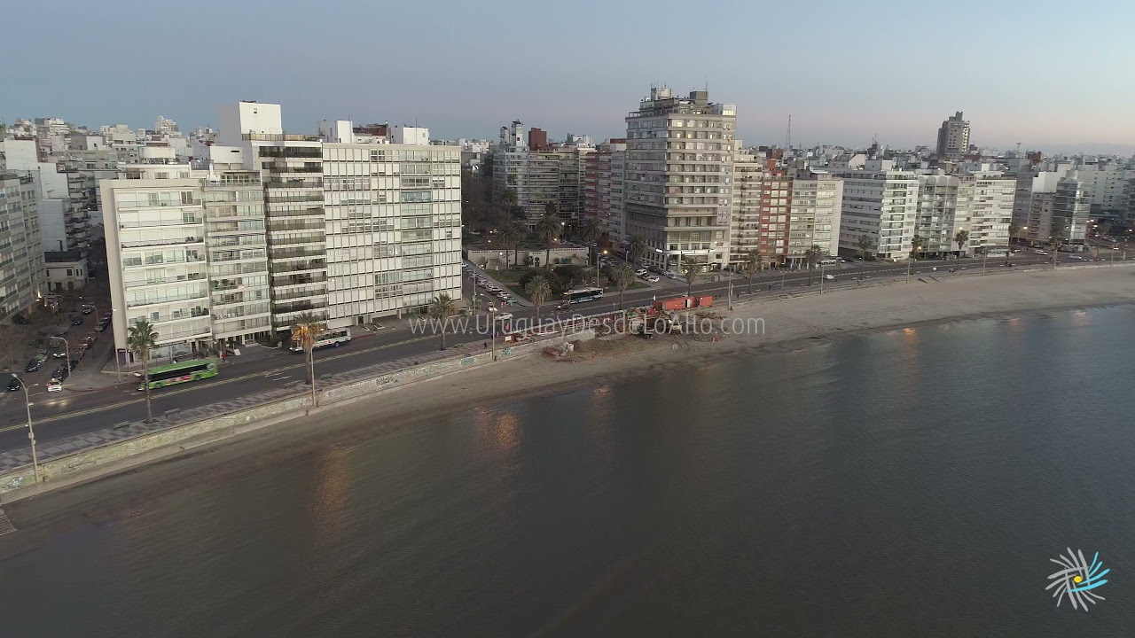 Video aéreo de la rambla de Pocitos al amanecer. Plaza Gomensoro.