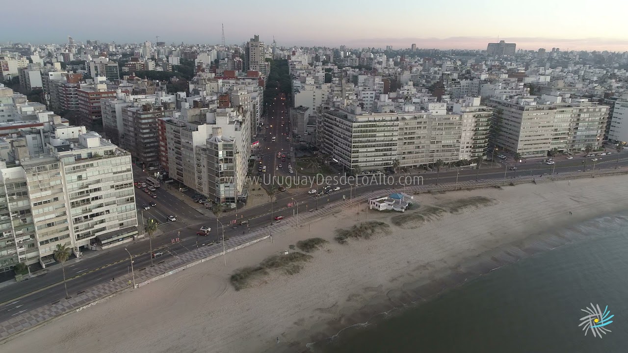 Video aéreo de la rambla de¨Pocitos al amanecer. Avenida Brasil, Bulevar España.