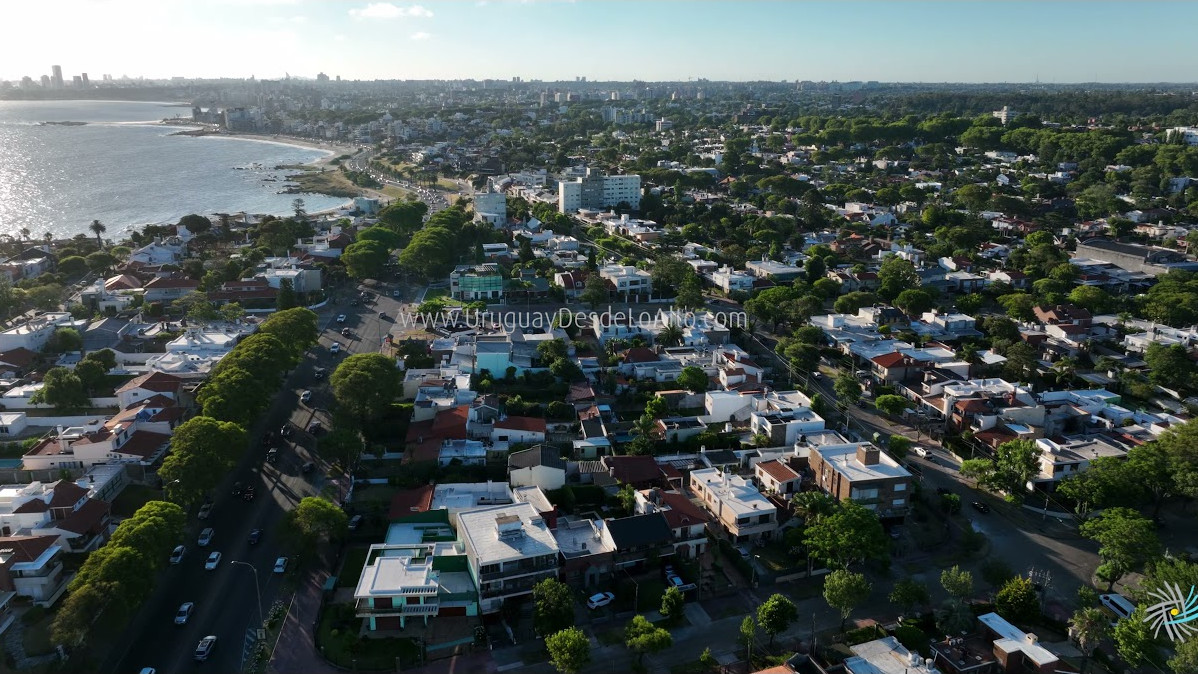 Video aéreo hacia el oeste sobre la calle Coimbra en Punta Gorda