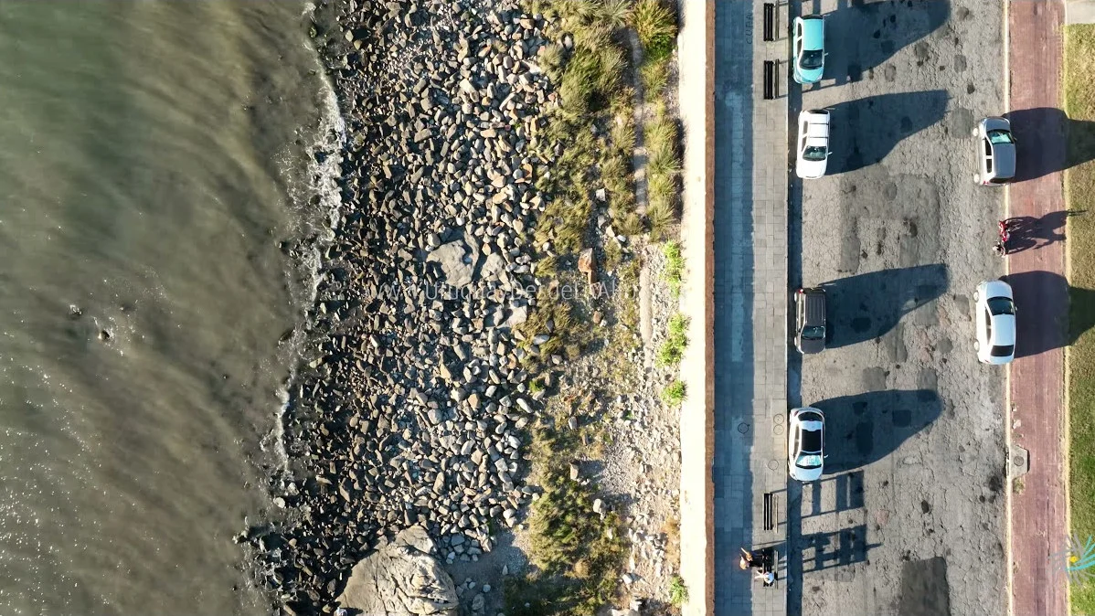 Preview video 205