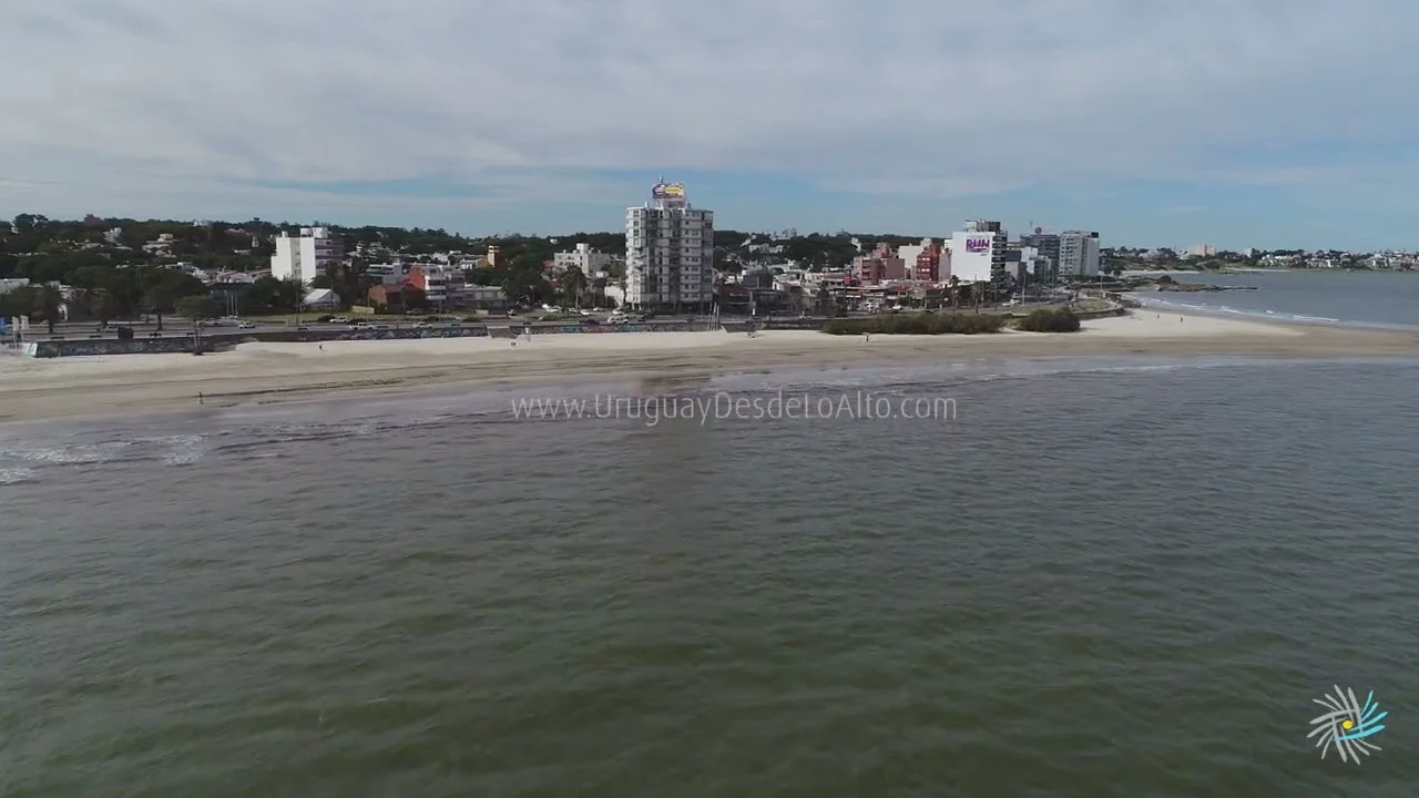 Preview video 219