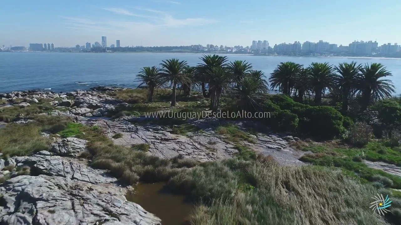 Preview video 221