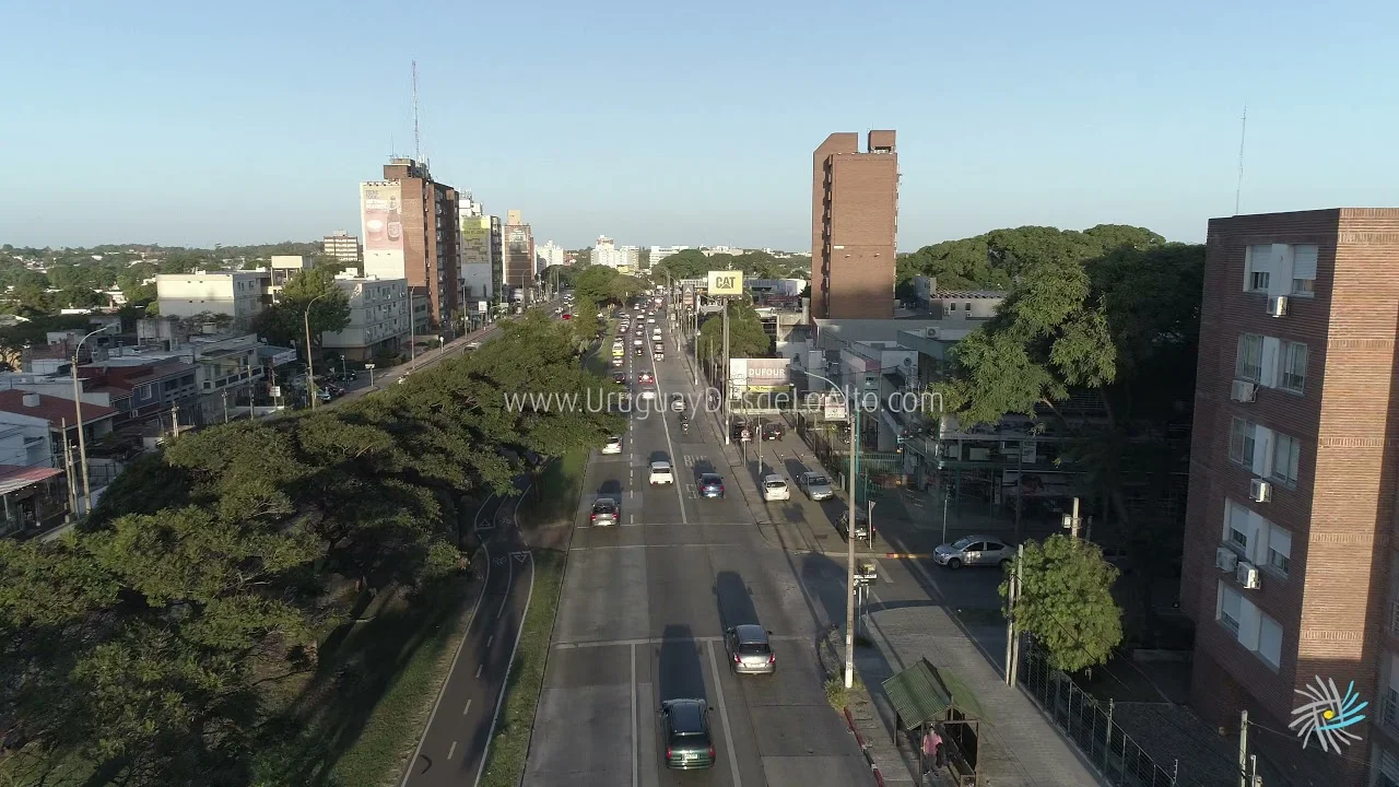 Preview video 228