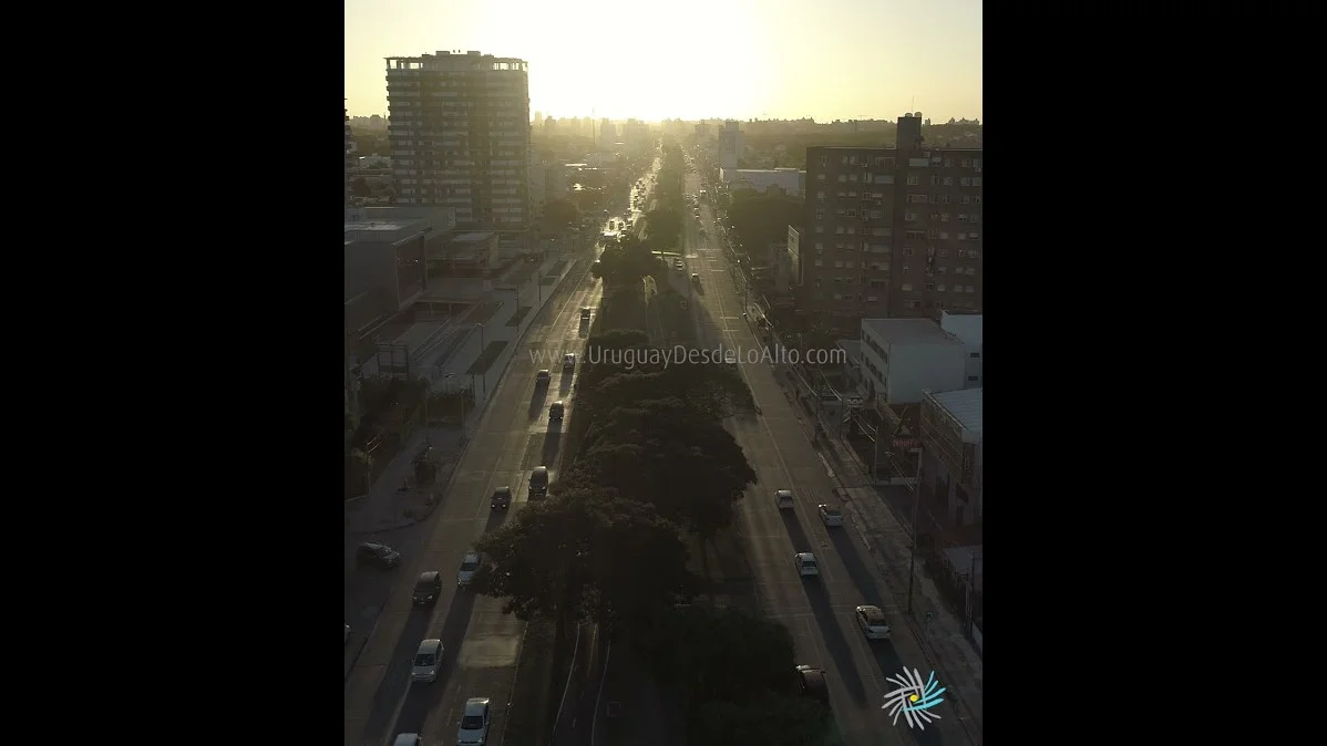 Preview video 230