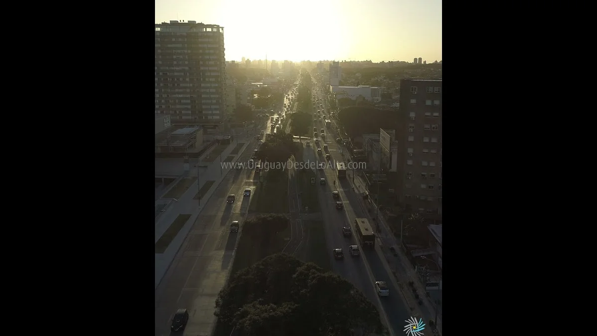 Preview video 231