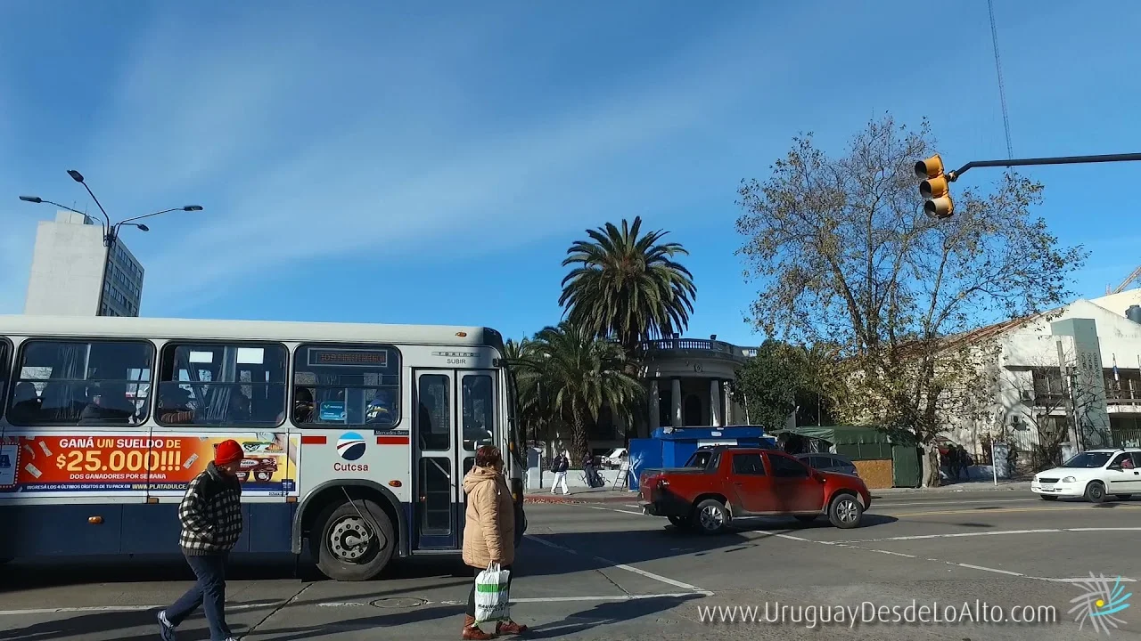 Preview video 241