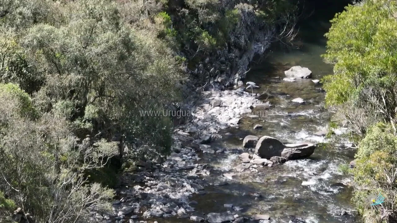 Preview video 379