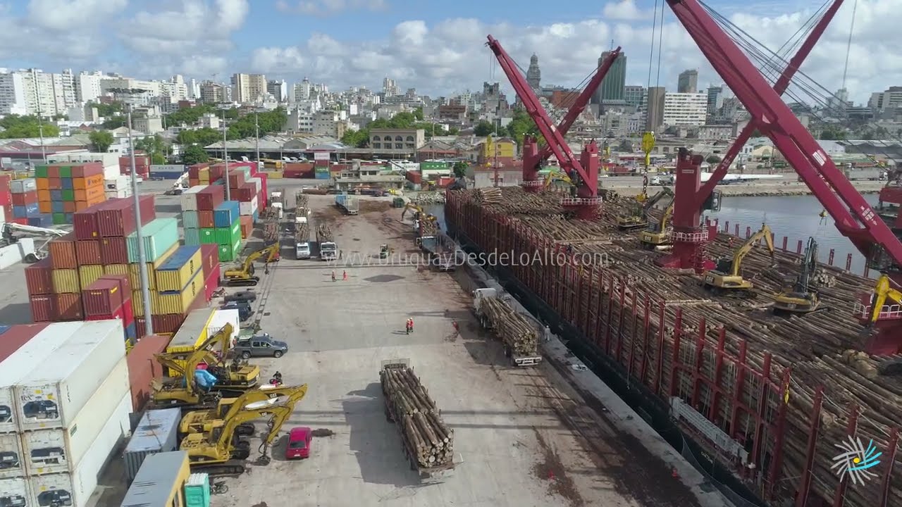 Videos aéreos de una carga de troncos de pino en el puerto de Montevideo