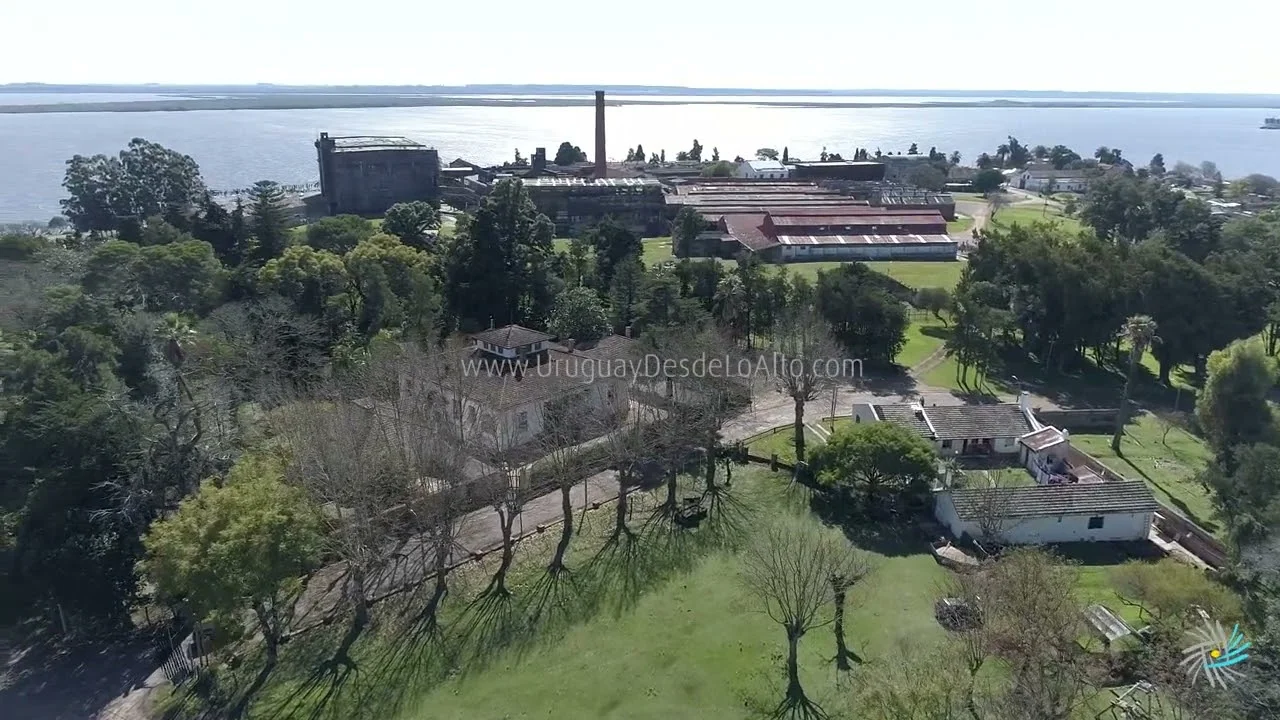 Preview video 406