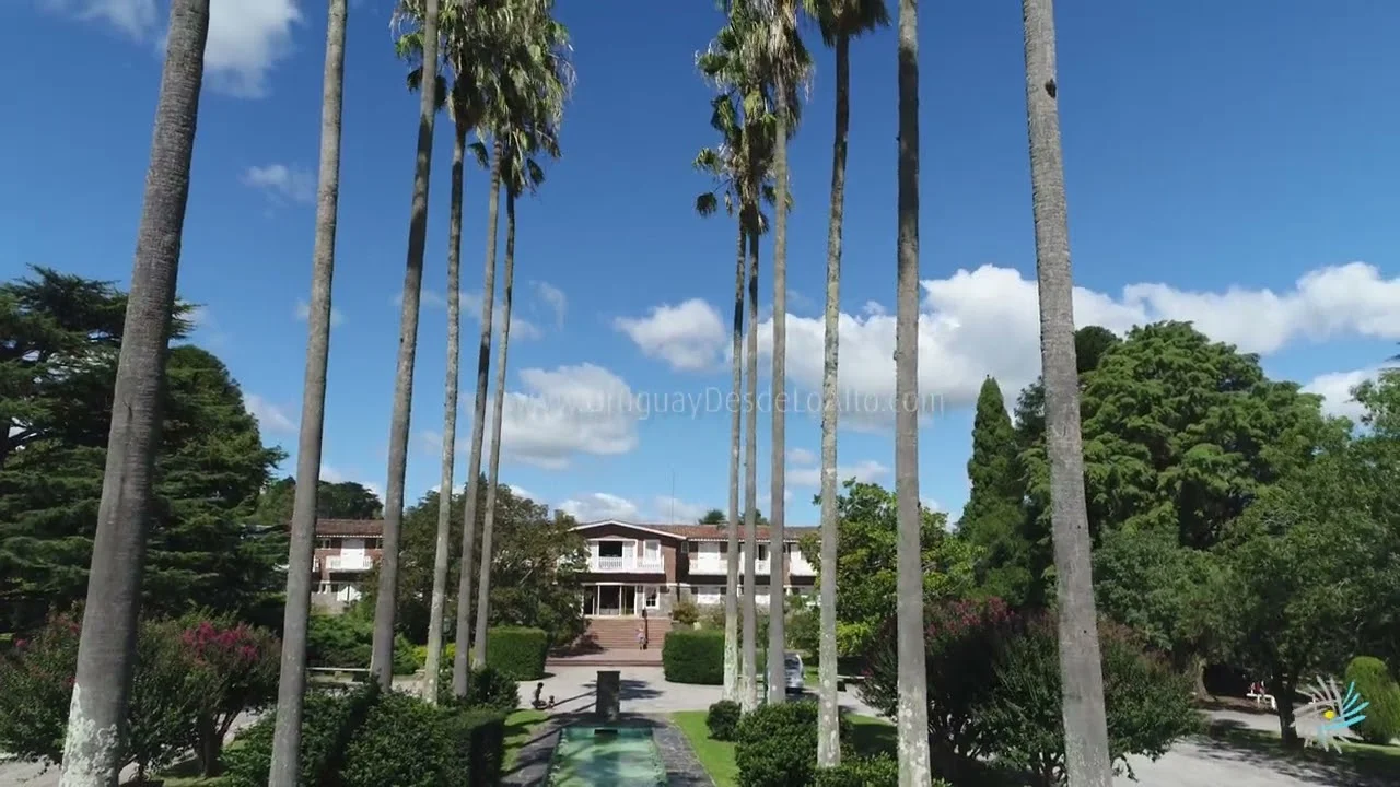 Preview video 460