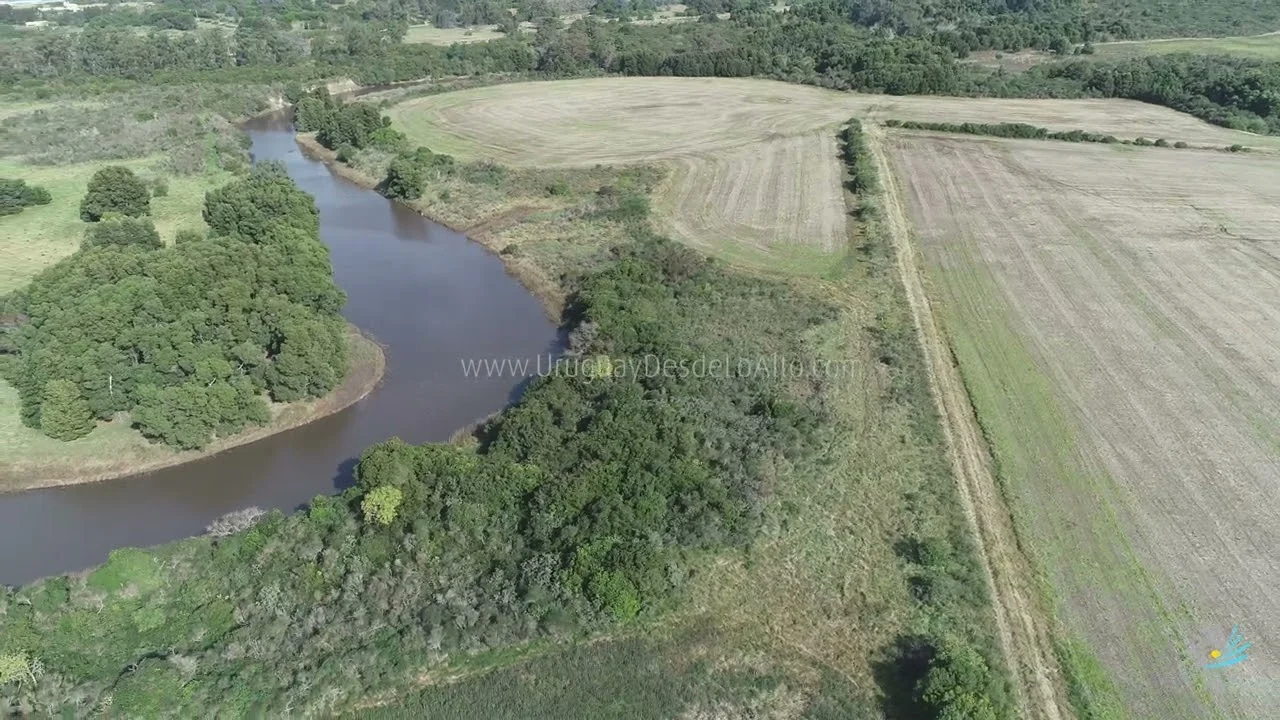 Preview video 494