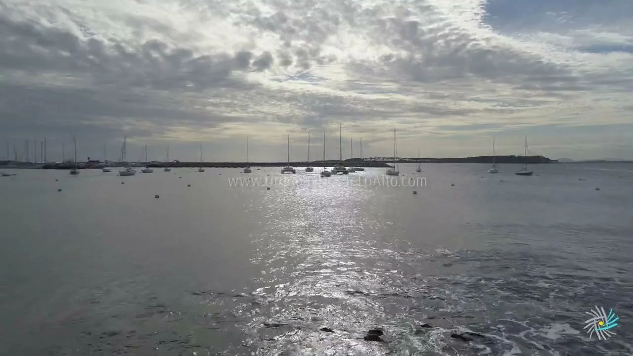 Preview video 516