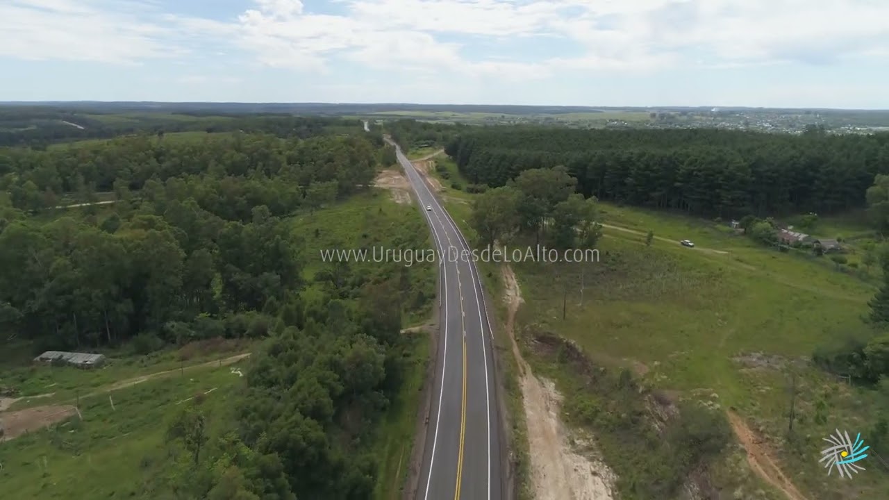 Video aéreo de montes de eucaliptos a la vera de la ruta 30 en Artigas
