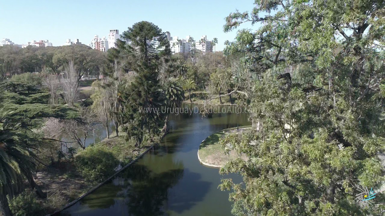 Videos aéreos del Parque Rodó y edificio Mercosur