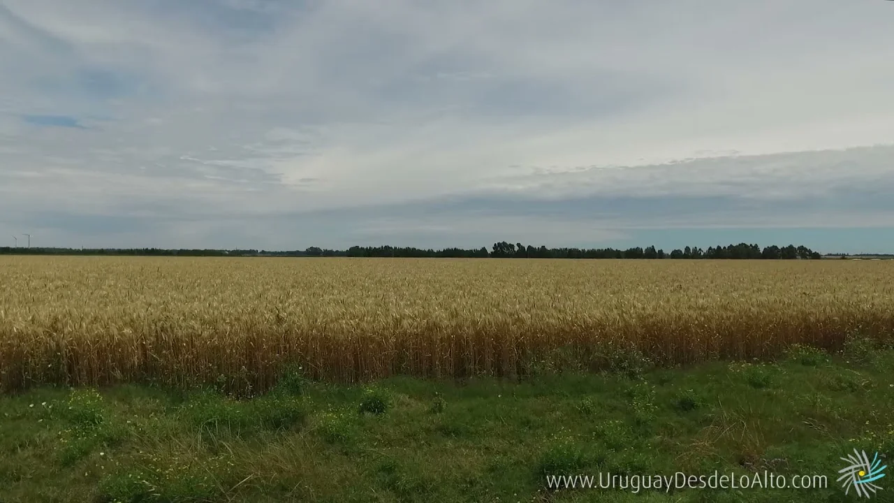 Preview video 773