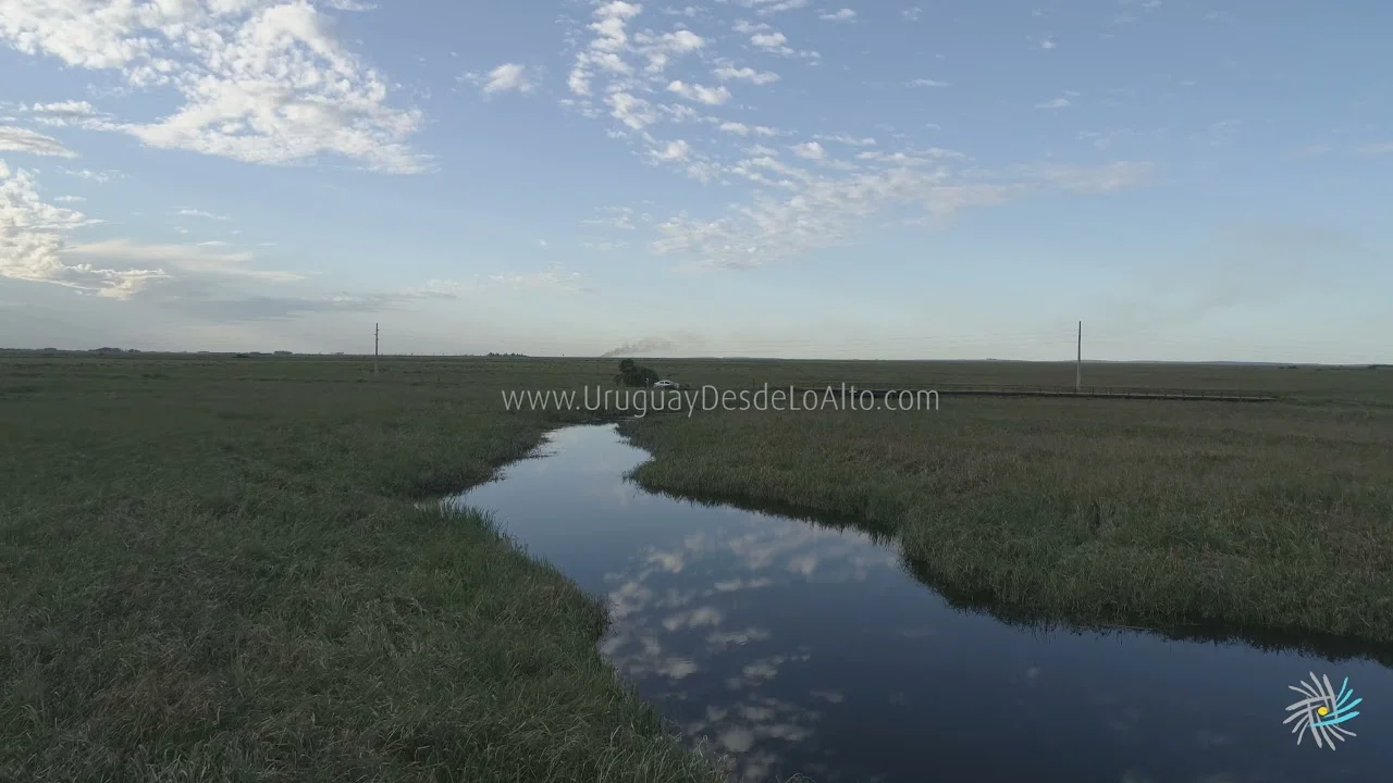 Preview video 774