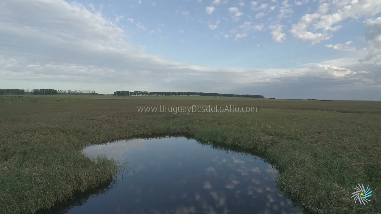 Preview video 775