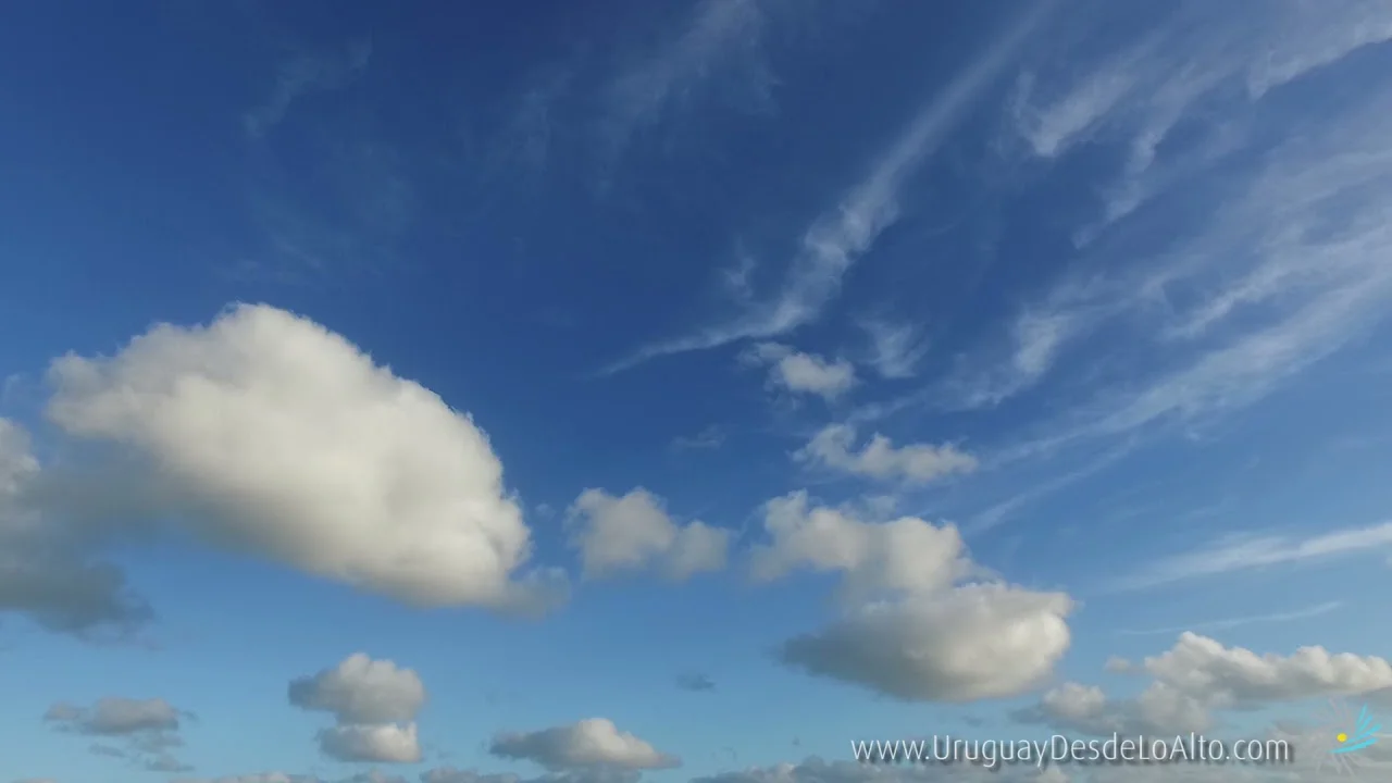 Preview video 789