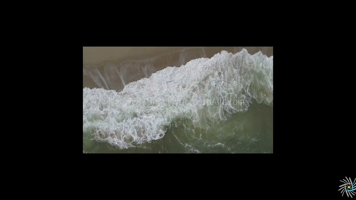 Preview video 801