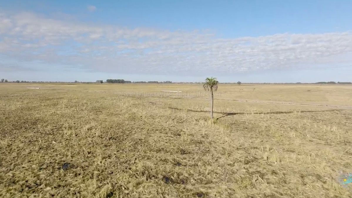 Video aéreo de un campo sin cultivar