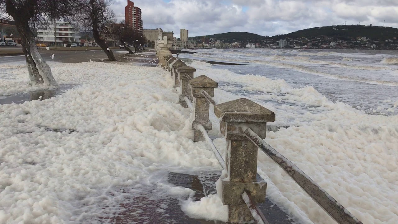 Espuma de mar en Piriápolis