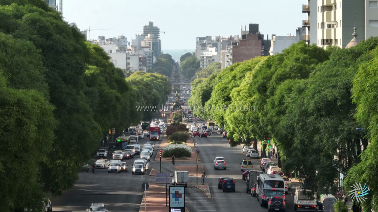 Movimiento de automóviles próximo a la Sociedad Española en Bulevar Artigas